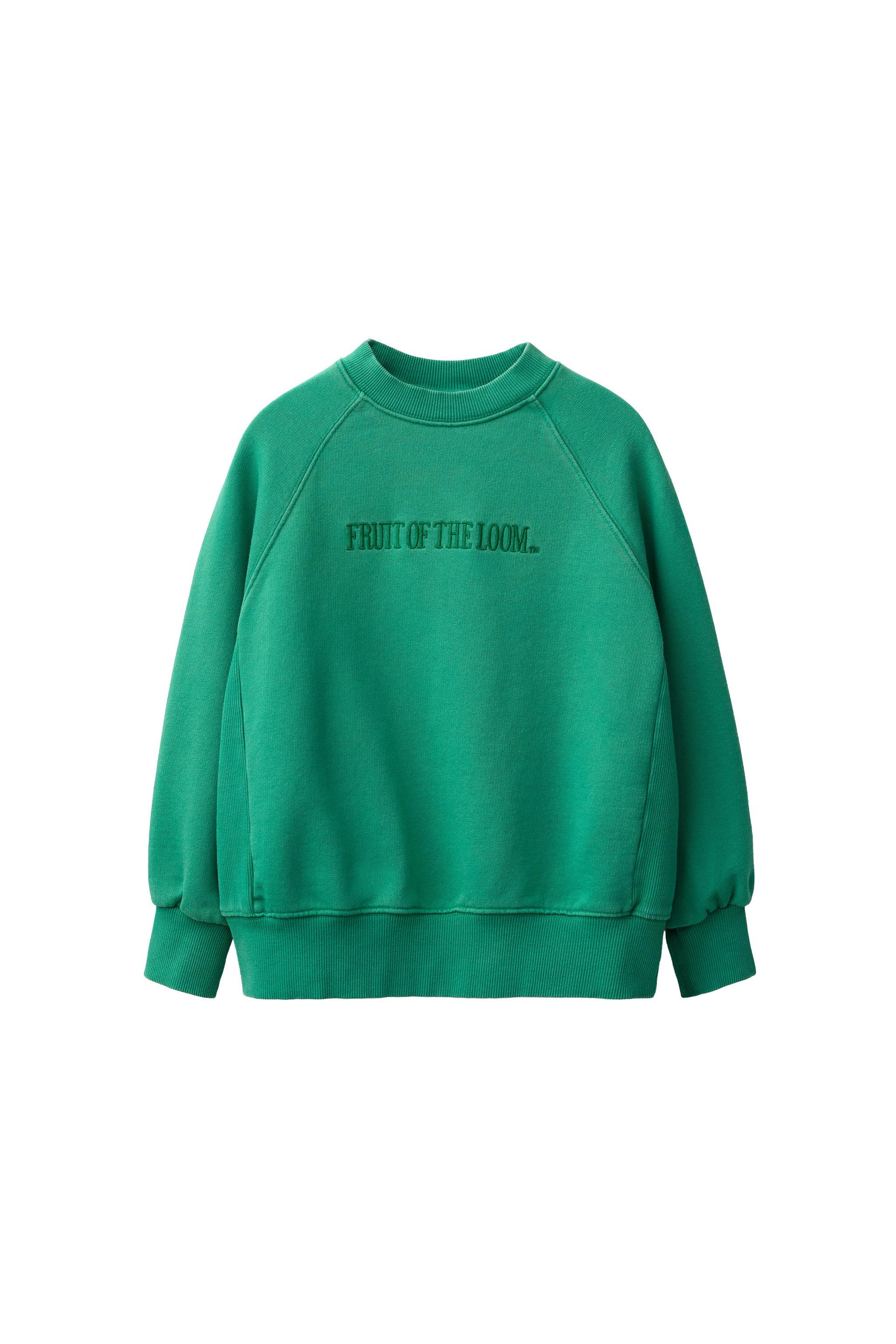 Свитшот Fruit of the Loom™ с вышивкой — ZARA